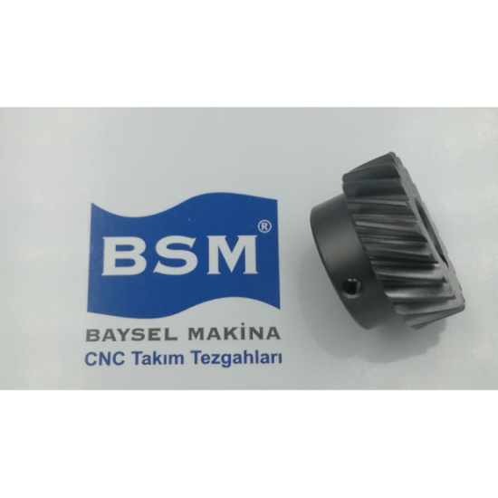 CANLI TAKIM DİŞLİSİ