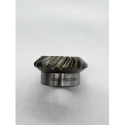 CANLI TAKIM DİŞLİ - EVERMORE CANLI TAKIM DİŞLİ - EVERMORE